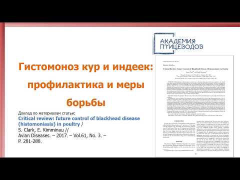 Гистомоноз кур и индеек: механизм передачи, клинические признаки, профилактика и меры борьбы