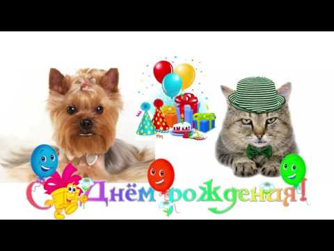 видео открытка с днем рождения оригинальное видео поздравление