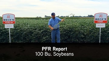 Beck’s PFR Report | High Yielding Soybeans 100 Bushel Soybeans