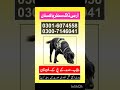 Army Dog Center Sargodha