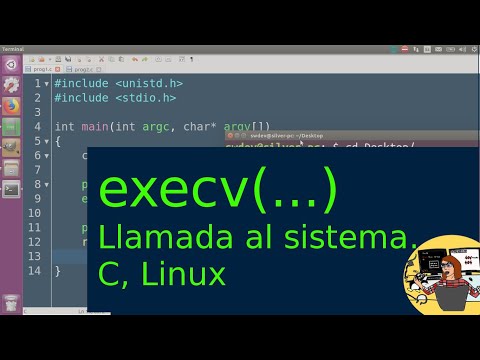 Video: ¿Qué es Execl en C?