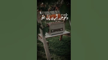 "تلاوة قرآن كريم قصيرة مؤثرة خاشعة بصوت جميل قرآن قصير"