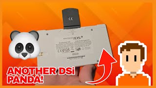 Unboxing ANOTHER Nintendo DSi Panda!