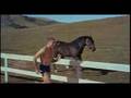 The swimmer 1968  theatrical trailer