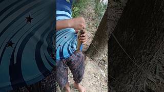 amazing fishing video 2023| ??shorts