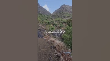 آيات قصيرة من #القرآن_الكريم #المصحف