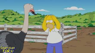The Simpsons - Homer Vs Ostrich
