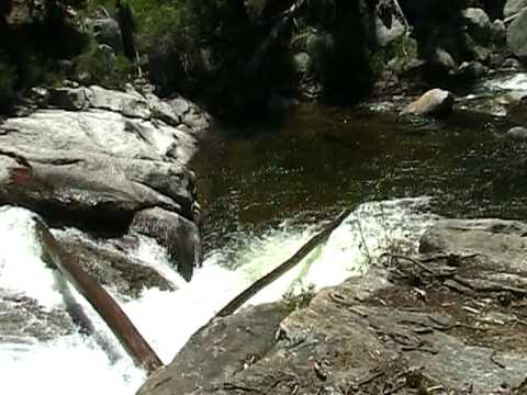 Big Sis fly fishing Bassi Creek, CA