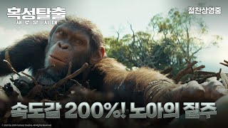 [혹성탈출: 새로운 시대] '속도감 200%! '노아'의 질주' 무삭제 영상