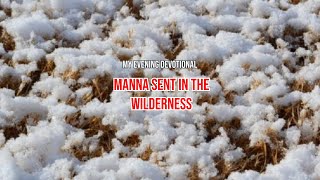 Manna sent in the wilderness