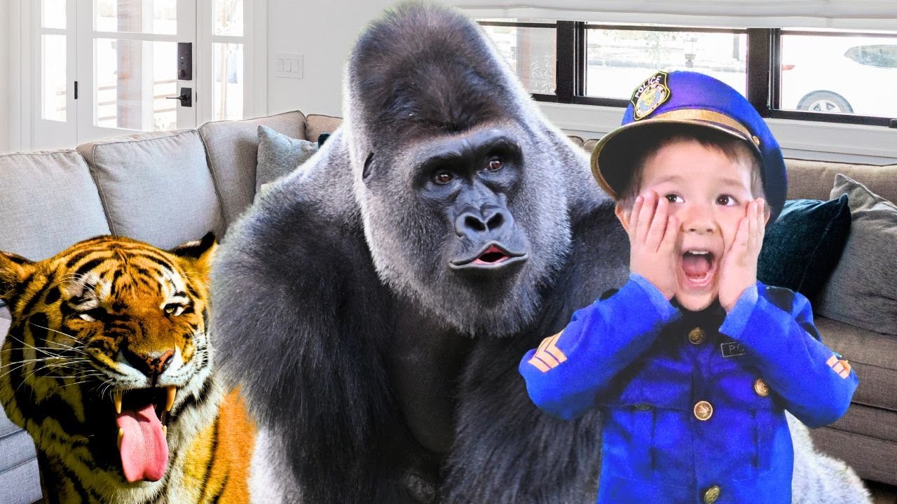 Baby Policeman Catches Wild Animals in the House and Godzilla, King Kong and Dragon at the Park
