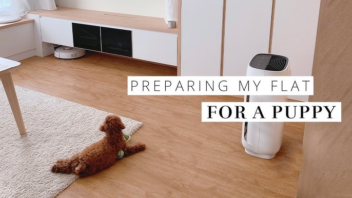 How to Set Up a Long–Term Puppy Confinement Area