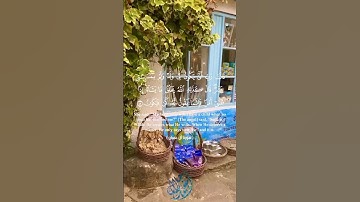 تلاوة  هادئه وخاشعة  تشعرك بالطمأنينة والراحة النفسية ❤️🎧😍 #تلاوة_خاشعة #القارئ_احمد_جلال_المصرى