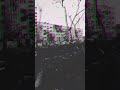 mercenary school-"смысл"