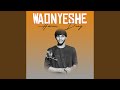Waonyeshe Waonyeshe
