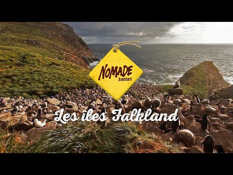 Vidéo: Une Des Plus Grandes îles Falkland Et Sa Colonie De Manchots Est à Vendre