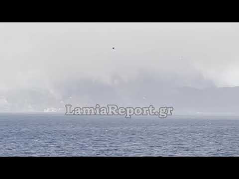 LamiaReport.gr: Η φωτιά στη Λίμνη Εύβοιας είναι ορατή από τη Φθιωτιδα