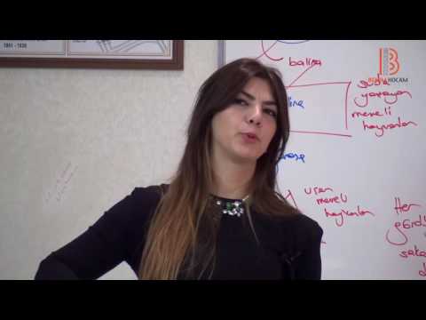 9) Piaget ve