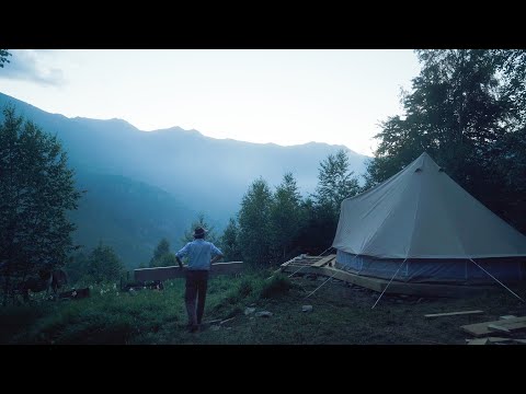 Video: Is tenten nodig voor termieten?