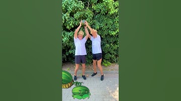pvz watermelon meme