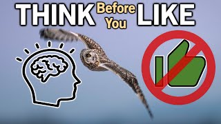 Think Before You Like!  Algorithms Don't Understand Intention