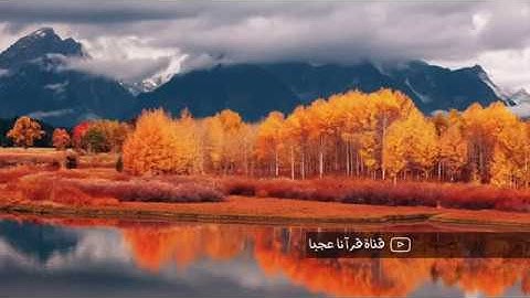 تلاوة فى غاية الجمال محمد صديق المنشاوي ما تيسر من سورة لقمان والفاتحة والبقرة المسجد الأموي