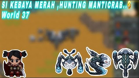 TibiaME WORLD 37 - HUNTING MANTICRAB