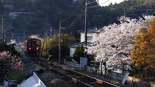 2019/4/2　普通列車(キハ200)走行@光岡～日田間