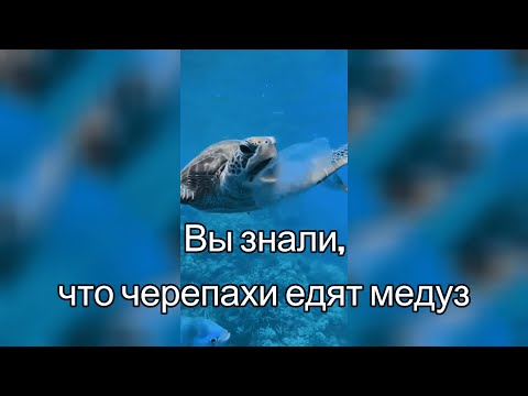Красиво и невероятно в мире!