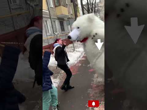 Сюрприз для девушки Москва-СПб #медвежонок #аниматорнаденьрождение #подарок