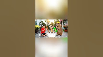 Capybara cùng anh giúp bà tắm tung tung sahur và cái kết #capybara