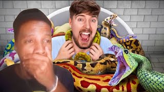 Would You Sit In Snakes For $10,000? [REACTION]