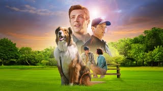 Руби, собака-спасатель - сцена из фильма | Netflix