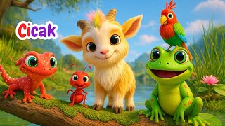 Kumpulan Lagu Anak | Cicak-cicak di Dinding 🦎 - Burung Kakatua🦜- Lagu Anak Indonesia Populer