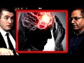 How human memory works: Why we forget | Charan Ranganath and Lex Fridman