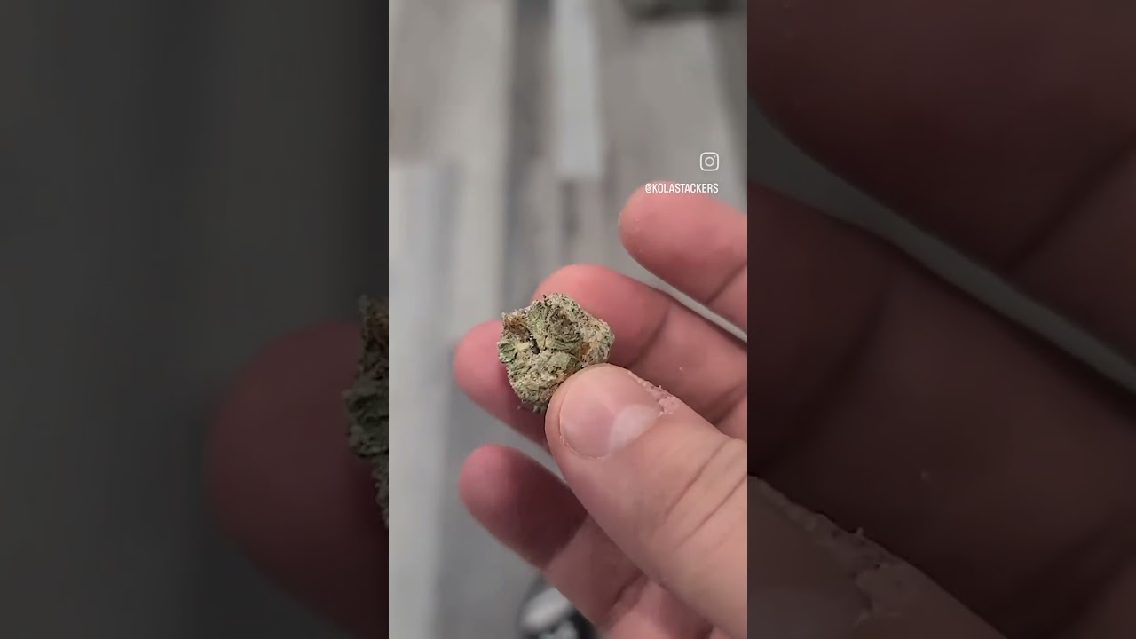 Snow Caps Strain Review