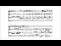 Miniature de la vidéo de la chanson String Quartet No. 15 In D Minor, K. 421 (417B): Iii. Menuetto. [Allegretto] - Trio