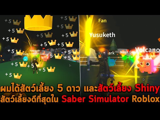 ส ตว เล ยง 5 ดาวและ Shiny ส ตว เล ยงท ด ท ส ด Saber Simulator Roblox Youtube - เปล ยนจากน กดาบกลายเป น reaper roblox youtube