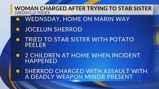 Greenville woman arrested, charged after using potato peeler to stab sister by WNCT-TV 9 On Your Side 32 views 2 days ago 26 seconds