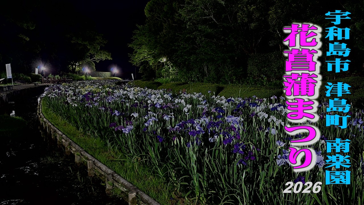Iris Flower, Japanese garden Nanrakuen 2026, ライトアップされた