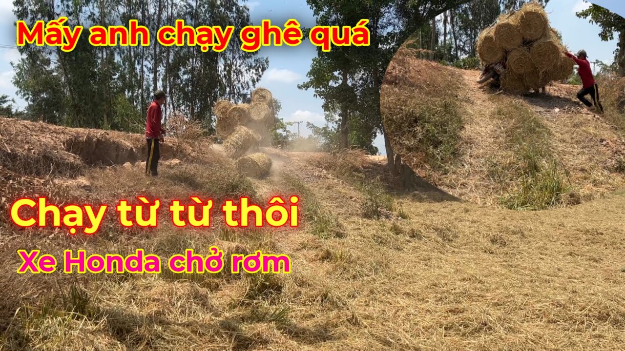 Anh minh tuấn tivi || mấy anh chở rơm chạy ghê quá ở miền tây độc lạ ...