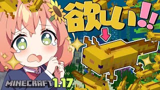 【マイクラ/にじ鯖】キイロのウーパールーパー捕まえてウーパーワールド作りたい【本間ひまわり/にじさんじ】