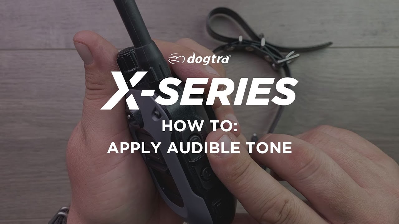 How to use Audible Tone | Dogtra X-Series E-Collar Tutorial | 280X & 1900X