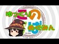 【ゆっくり茶番】なんと、あの中二病の頭がおかしい子が登場！
