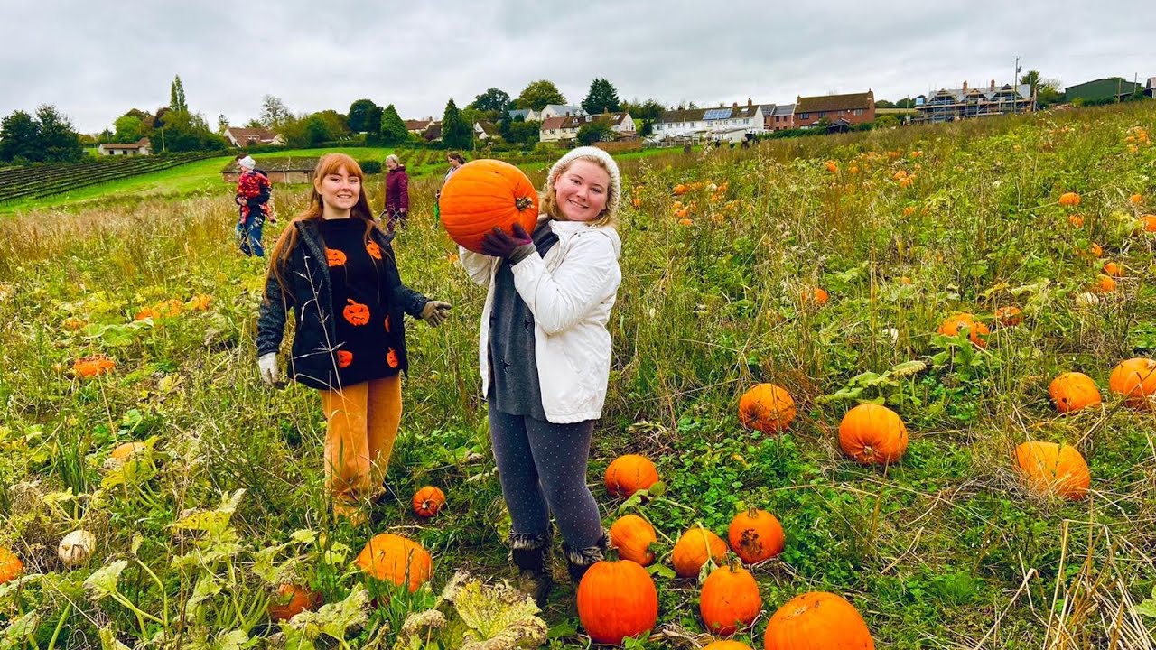 Pumpkin Picking 2021