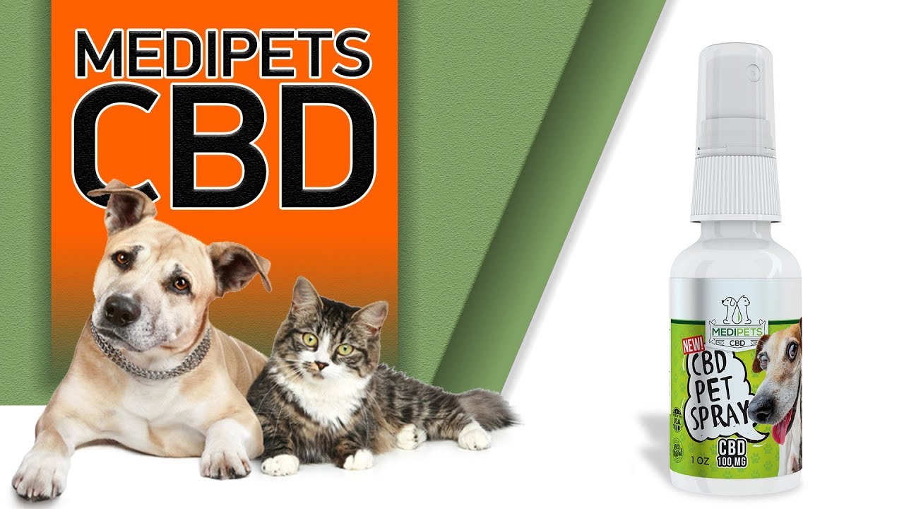 upload image Best CBD Oil For Cats - MediPets Review!