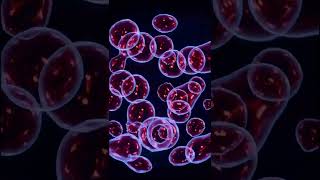 Genetic Anomalies: The Hidden Evolution of Humanity #genetics #anomalies