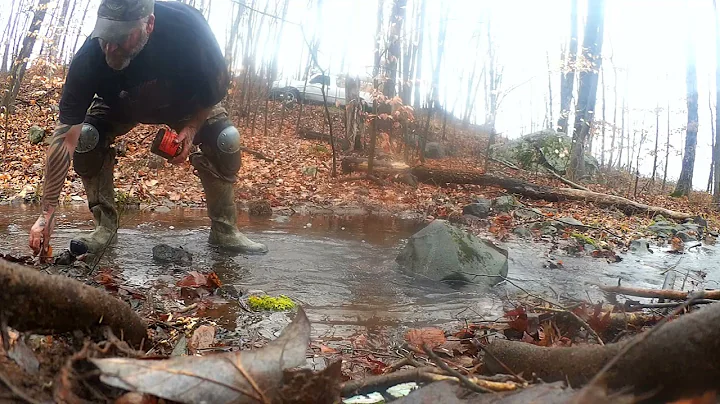 Trapping in ct Remakeing a springhole sets with moss