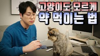 [ENG SUB]  Giving Your Cat Medicine Can Be StressFree!