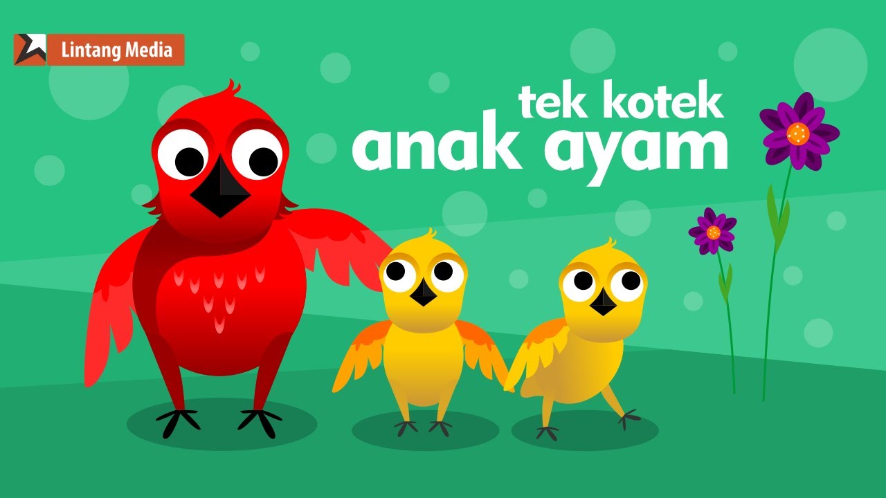  Video  Kartun Lucu Anak Ayam  Duinia Kartun